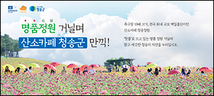 청송군