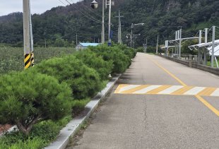 [카메라고발] ˝미관보다 안전이 우